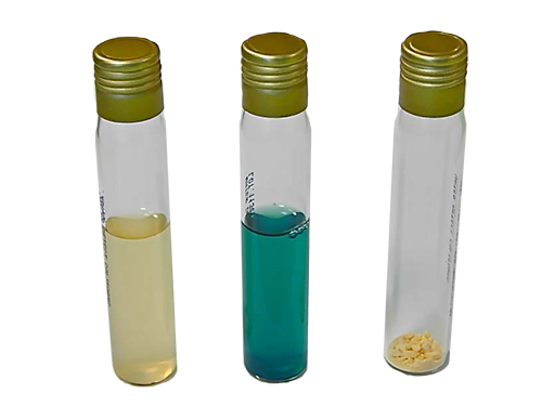 Coliforms in water testing