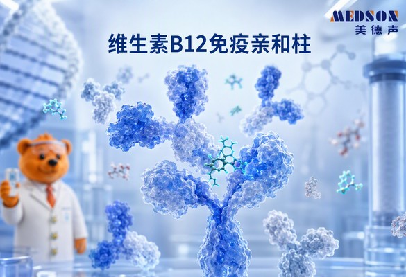 美德声维生素B12免疫亲和柱