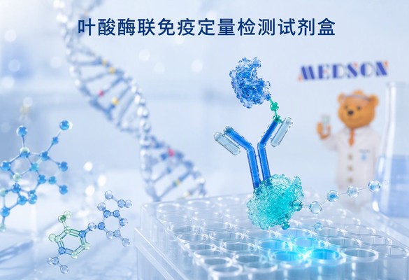 美德声叶酸（维生素B9）酶联免疫定量检测试剂盒