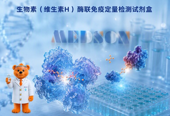美德声生物素（维生素H）酶联免疫定量检测试剂盒