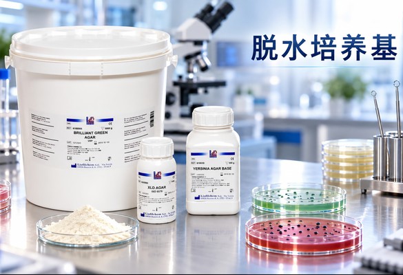 美德声发酵肉汤基础